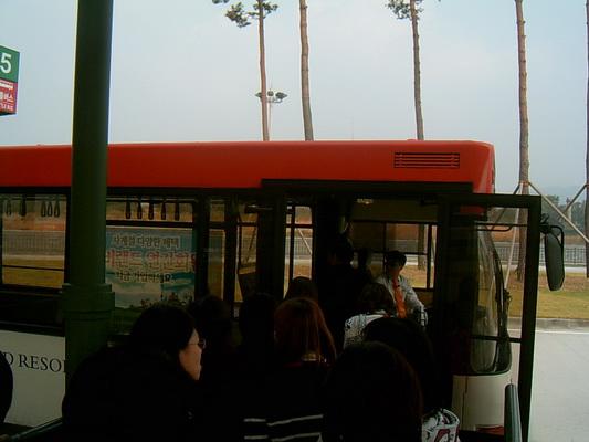 SUC31603_resize.JPG
